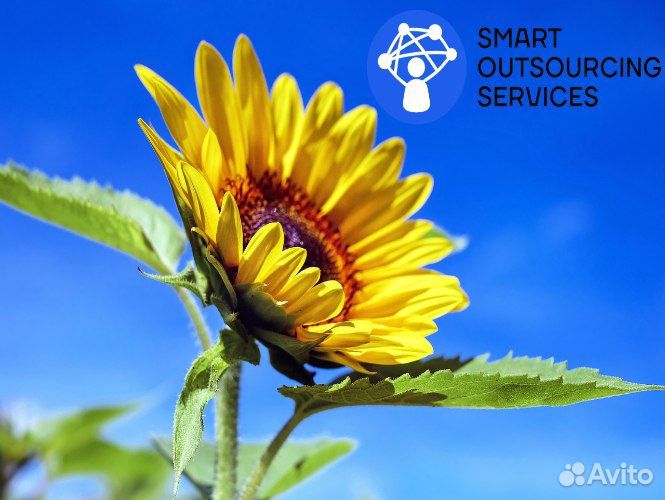 Работник торгового зала Без опыта