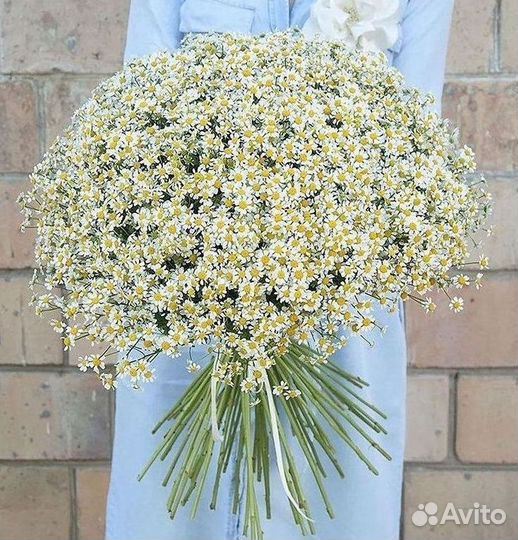 Ромашки Букет из ромашек доставка