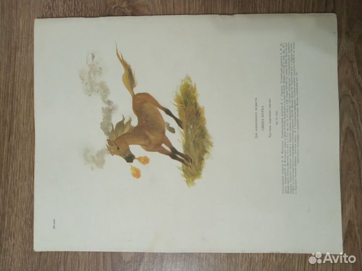 Книги детям Сказка Сивка-Бурка (1984 год)