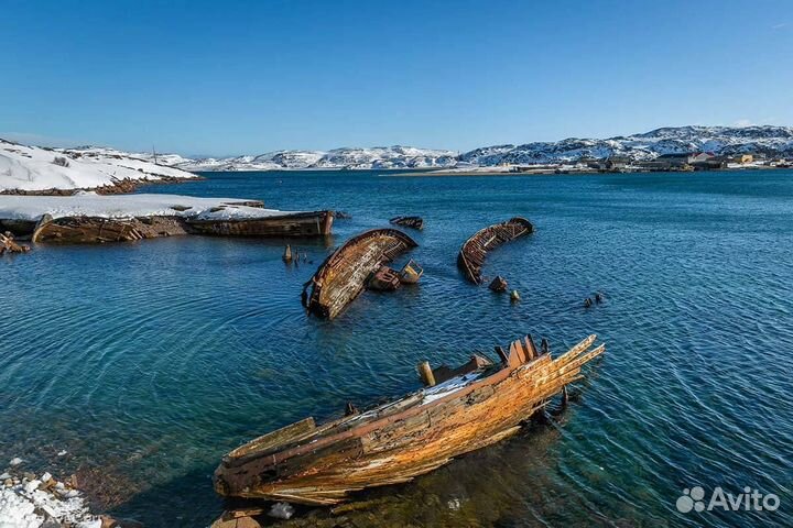Тур в Териберку +поиск китов