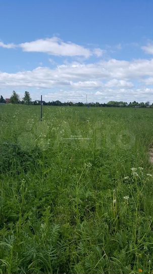 Участок 5 га (ИЖС)