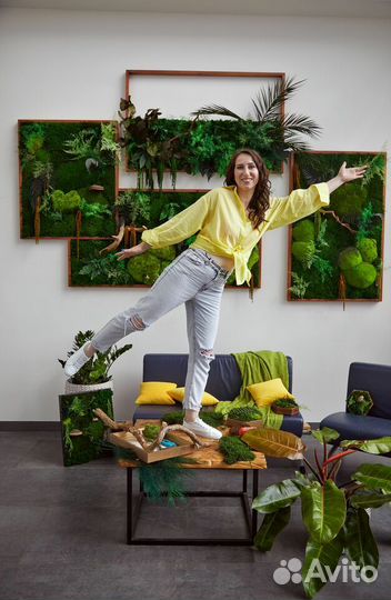 Стабилизированный мох для интерьера