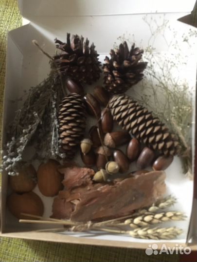 Набор для школьного творчества