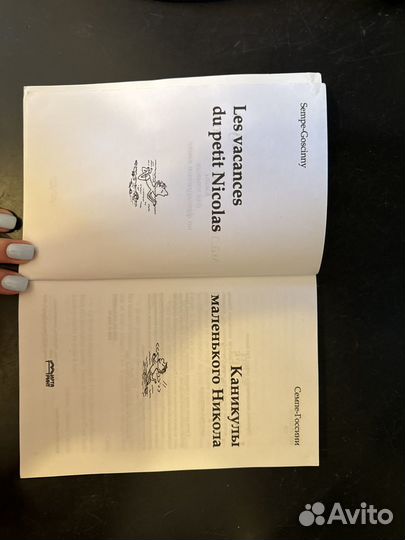 Каникулы маленького Николя на французском