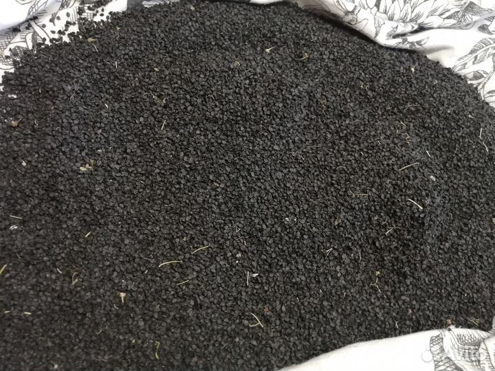 Семена лука(лук Елховский). Чернушка