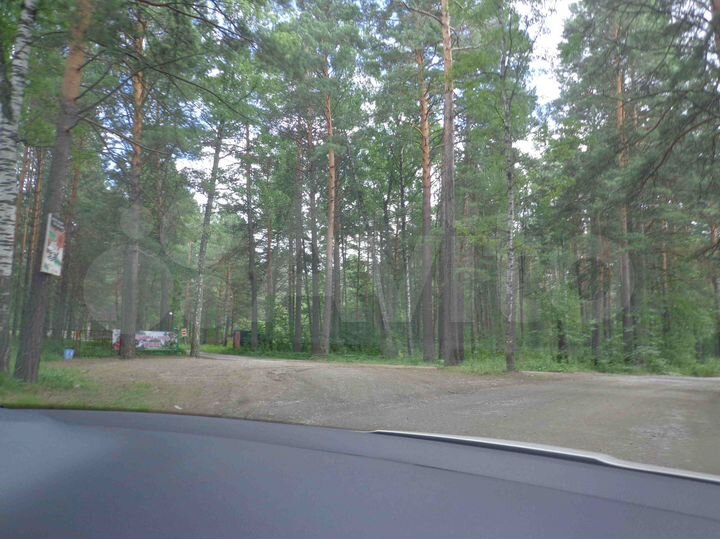 Участок 12 сот. (СНТ, ДНП)