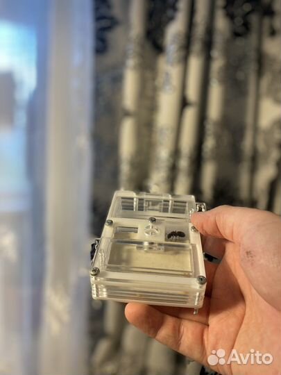 Муравьиная ферма с муравьями