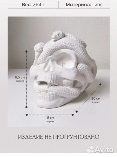 Черепа из гипса