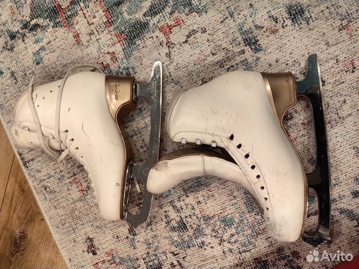 Ботинки edea chorus 24,5