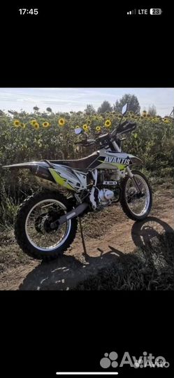 Avantis fx 250 lux