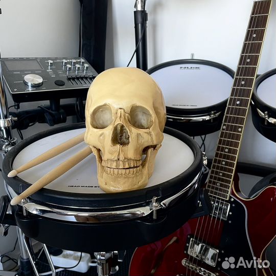 Череп реалистичный