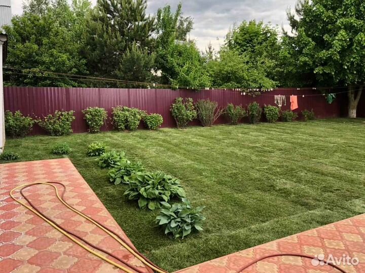 Укладка и продажа газона