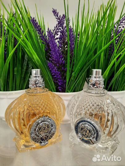 Тестеры Shaik 100 ml