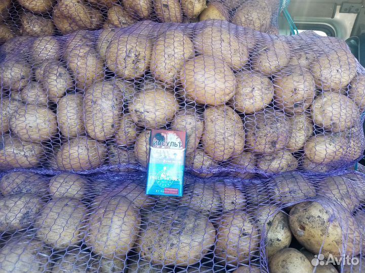 Картофель домашний отборный с доставкой на зиму