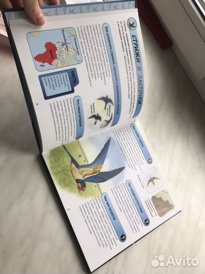 Книга про птиц