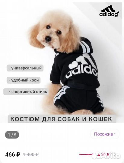 Одежда для собак