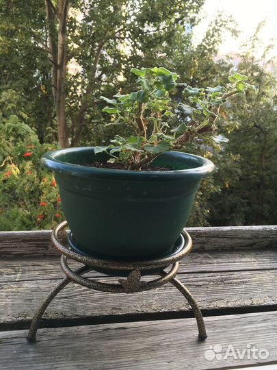 Подставка для цветов напольная металлическая