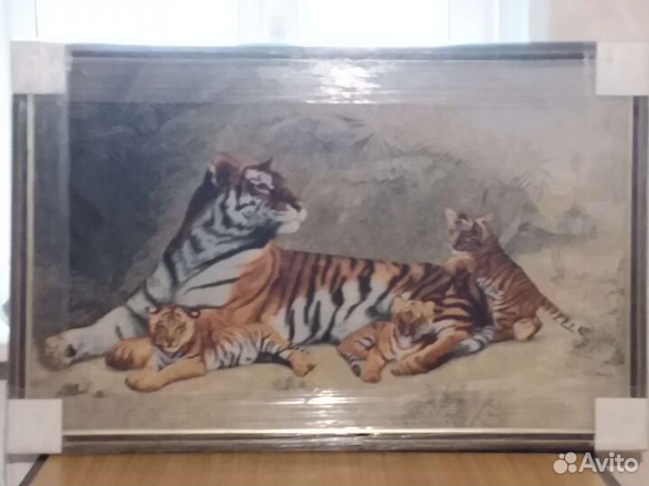 Дикие кошки