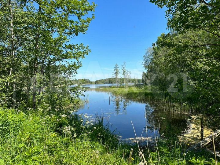 Участок 7,7 га (личное подсобное хозяйство (лпх))