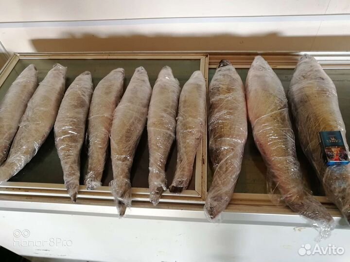 Рыба