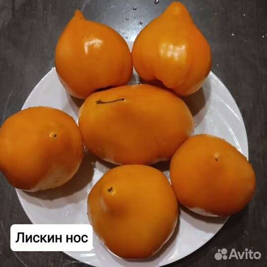 Семена томатов