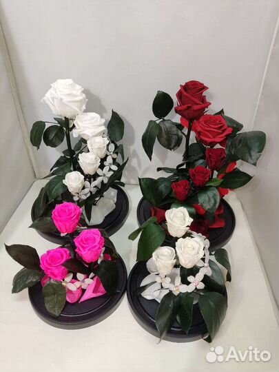 Розы оптом