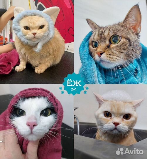 Мытье и стрижка кота/кошки