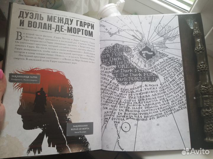 Битва за Хогвартс. Гарри Поттер