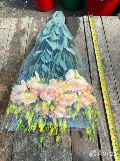 Цветы с доставкой