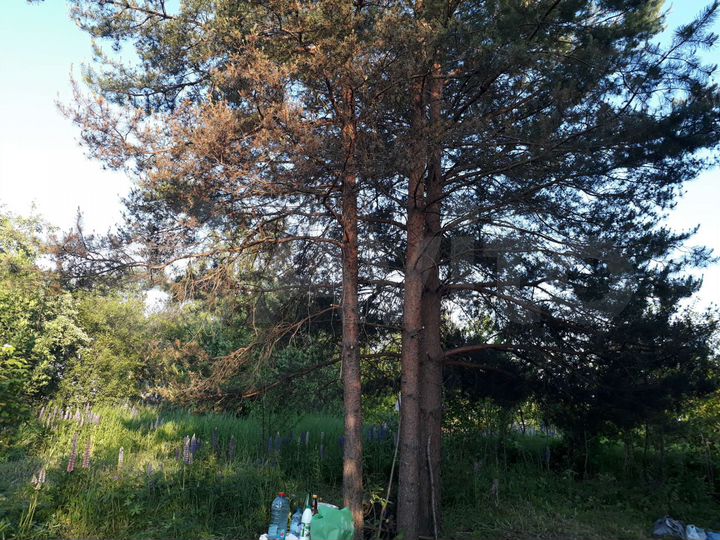 Дача 58 м² на участке 10 сот.