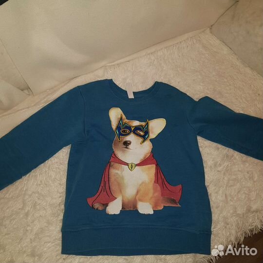 Свитшот acoola