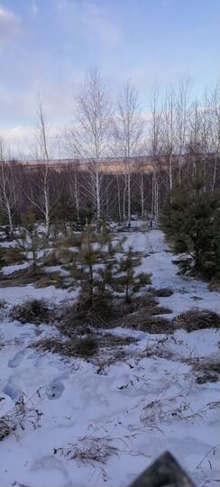 Участок 9 сот. (СНТ, ДНП)