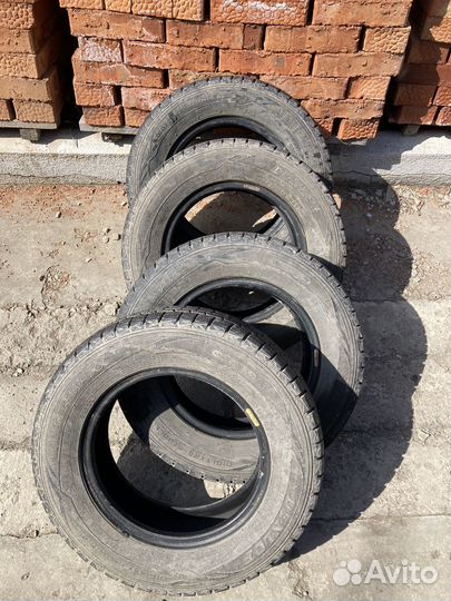 Dunlop Winter Maxx WM01 175/70 R13