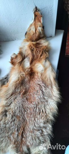 Мех лисы шкурка