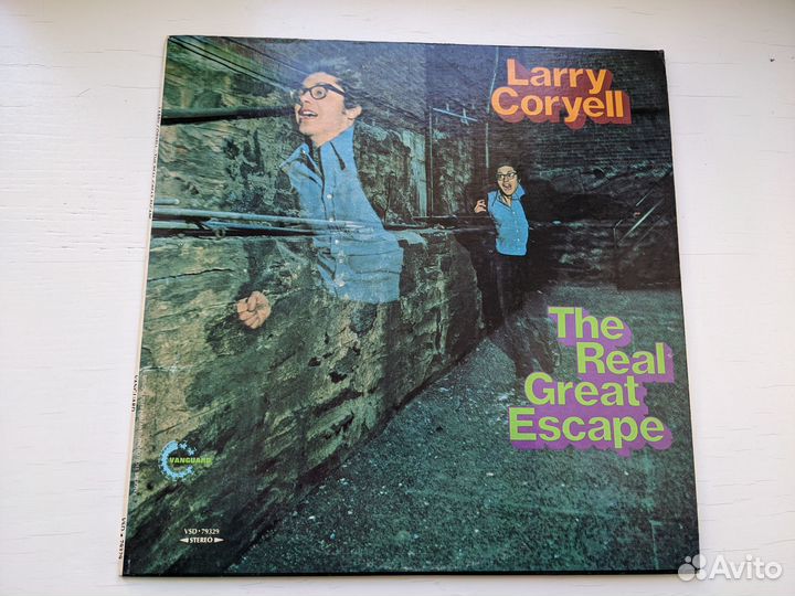 Larry Coryell 