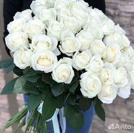 Высокие розы Гигантские розы Доставка цветов