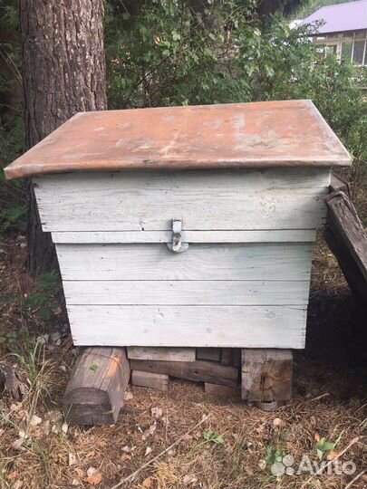 Улей для пчел