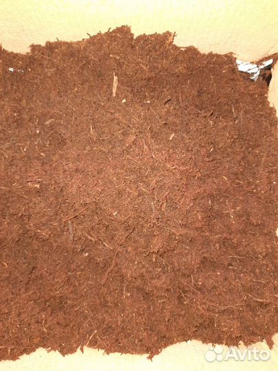 Триферн для орхидей