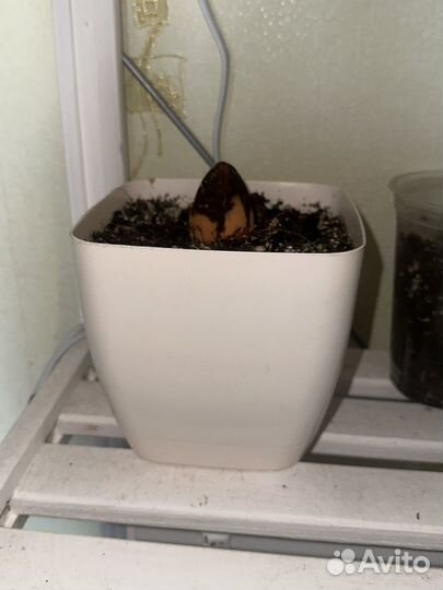 Горшок для цветов