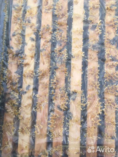 Пчелопакеты