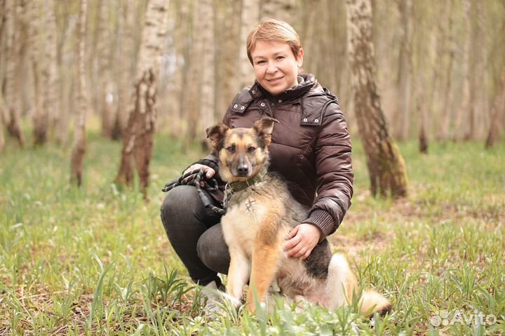 Собака в дар