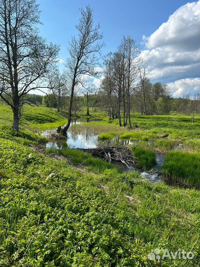 Охотхозяйство/рыбоводство