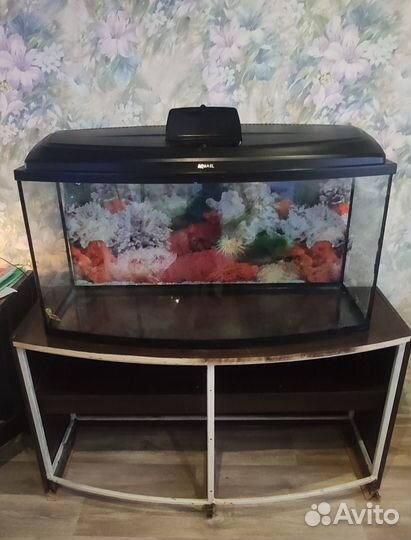 Аквариум 200 литров