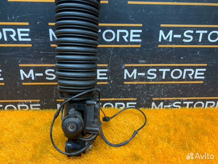 Пневмостойка задняя правая Bmw 7-Series F01