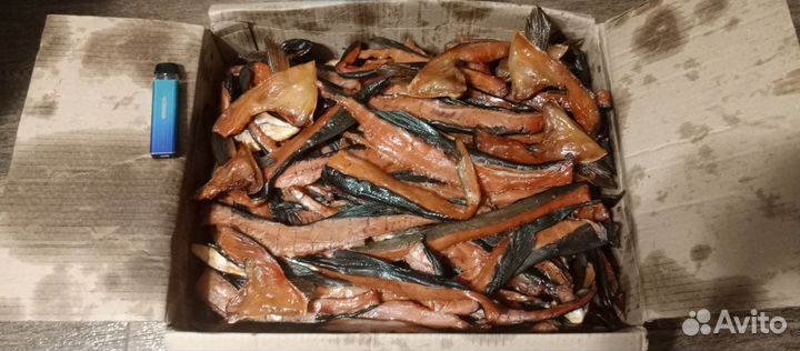 Горбуша, Кета