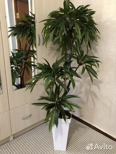 Искусственное дерево манго