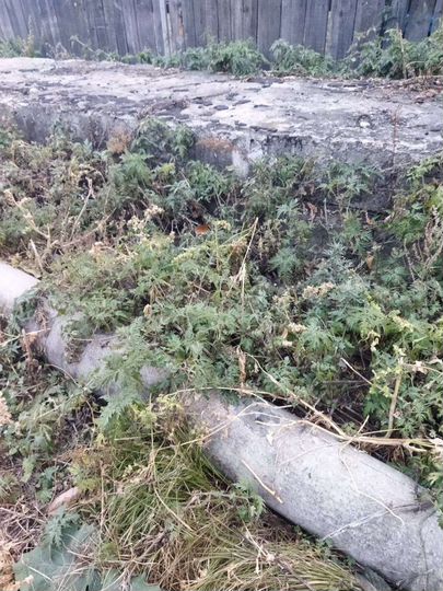 Участок 7 сот. (ИЖС)