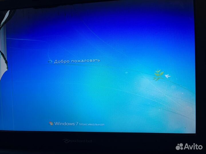 Ноутбук packard bell