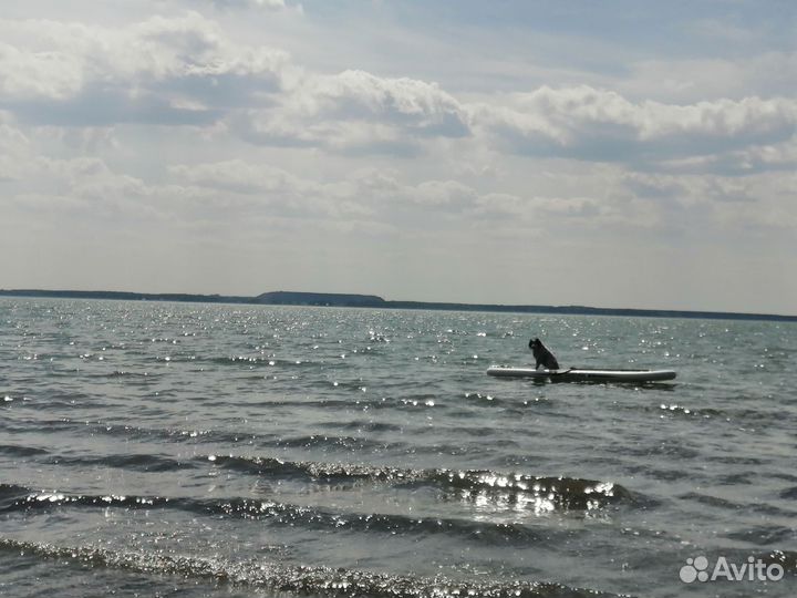 Сапборд аренда