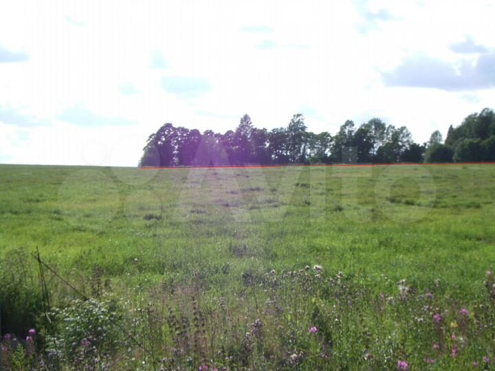 Участок 4,8 га (СНТ, ДНП)